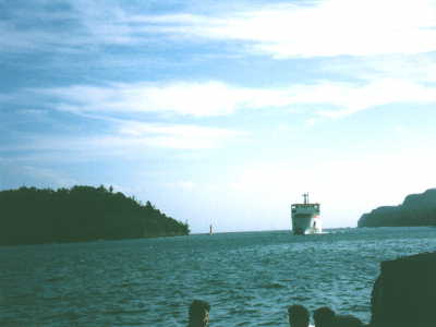 フェリーがやってきた