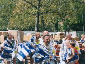 �S�[���̗l�q