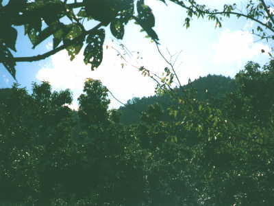 小鹿野町の風景2