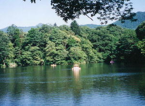 �N���b�N�ő傫���\�����܂�