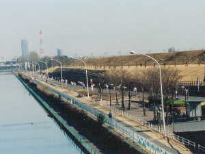 ������̉��𑖂�