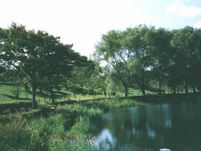 米子空港の近く